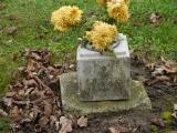 image of grave number 199014